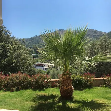 公寓 Cactus Garden Village *